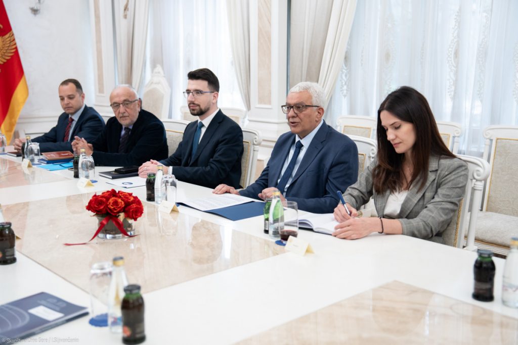 Mandić sa predsjednikom Evropskog suda za ljudska prava: Opozicija se vratila u parlament i uvidjela da evropski put nema alternativu