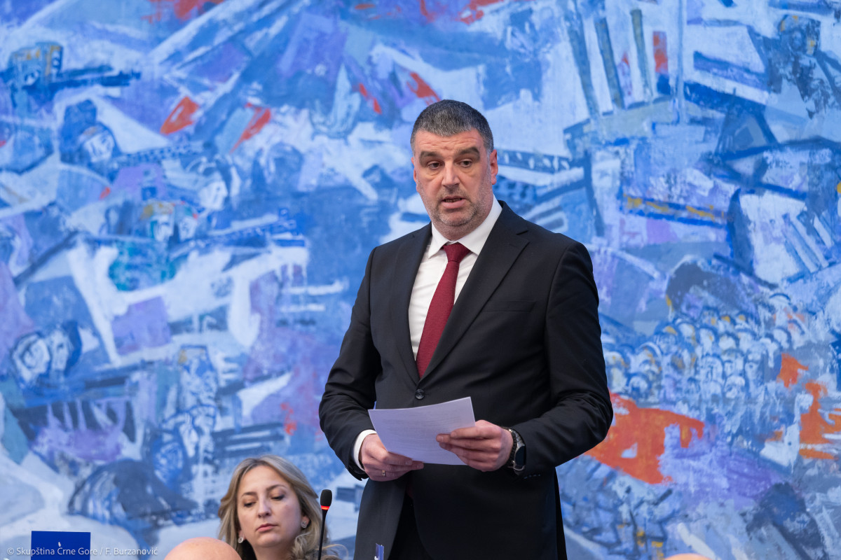 milan zecevic