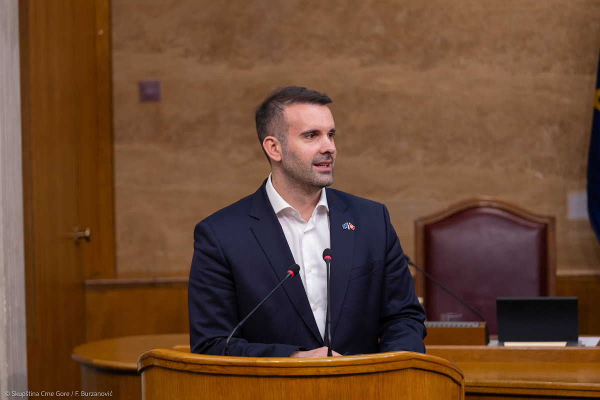 milojko spajic (2)