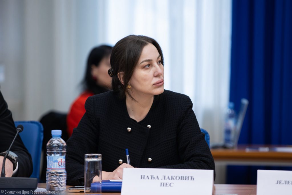 Laković: Rečenica upućena ministarki Adžović je prijetnja, niko nam ne može zabraniti da dođemo u Ulcinj