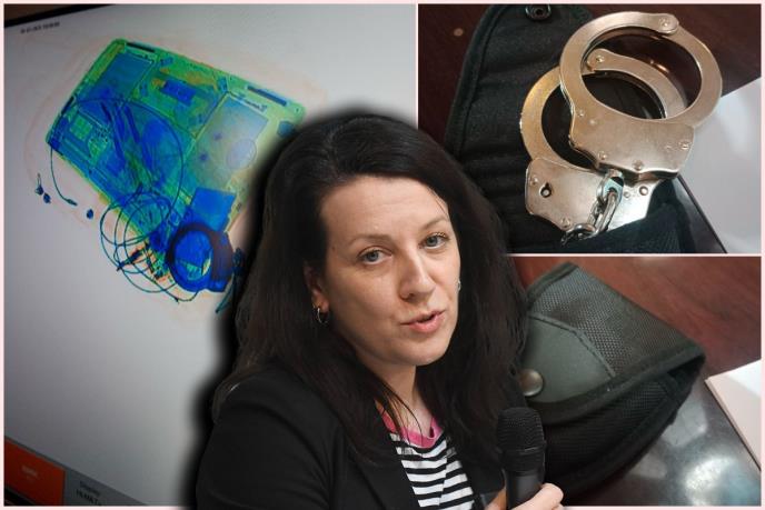 Poslanica koja je juče pogodila Sinišu Malog dimnom bombom danas u Skupštinu donijela lisice