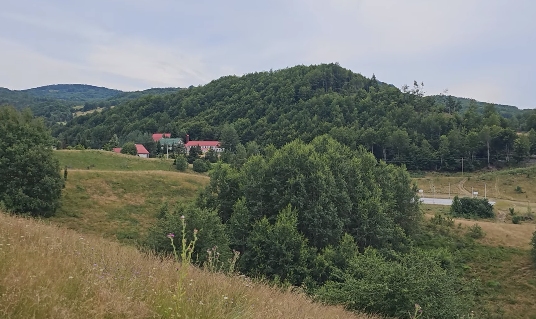 verusa