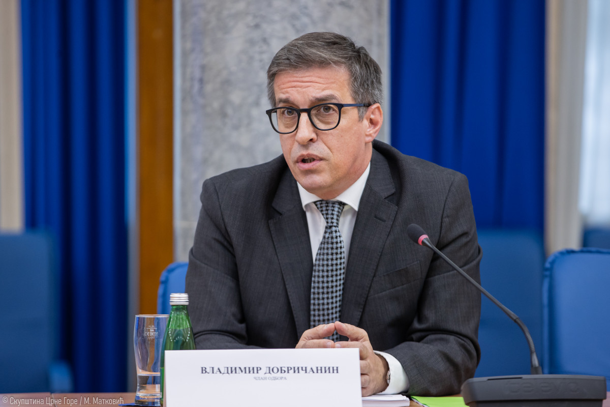 vladimir dobricanin