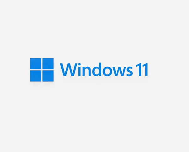 windows 11