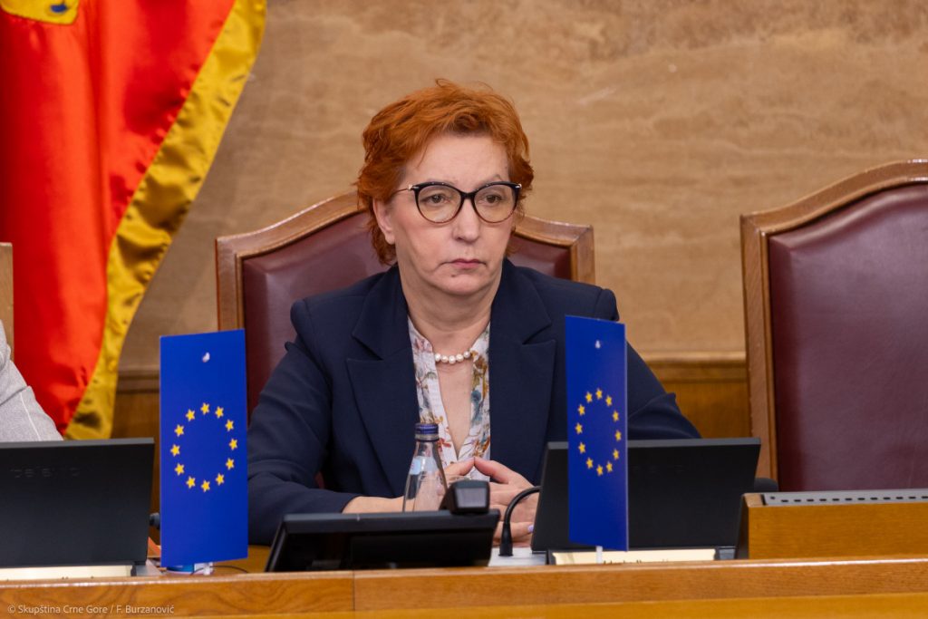 Popović o obavezi da 40 odsto kandidata na listama budu žene: Crna Gora stoji uz principe jednakosti, pravičnosti i zastupljenosti svih građana i građanki