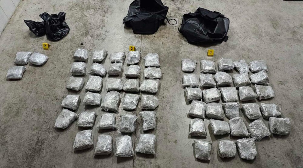 Pronađeno 35 kilograma marihuane, uhapšena jedna osoba