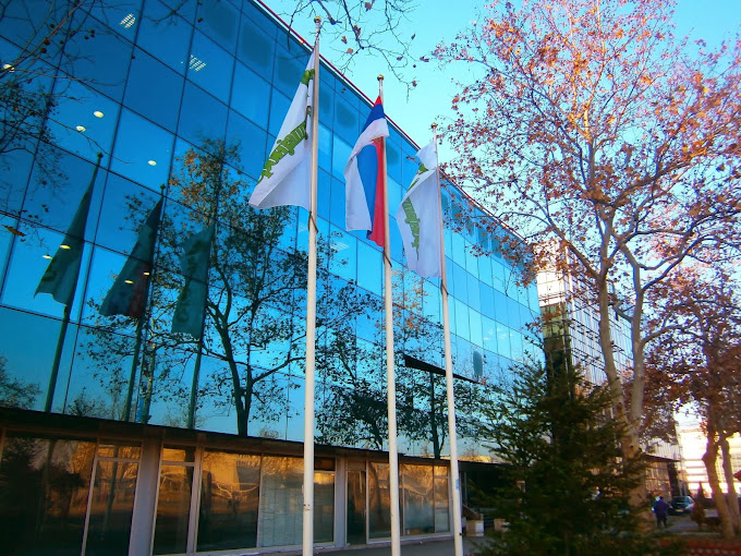 Uhapšeni radnici „Srbija šuma“ zbog zloupotreba teških preko tri miliona dinara