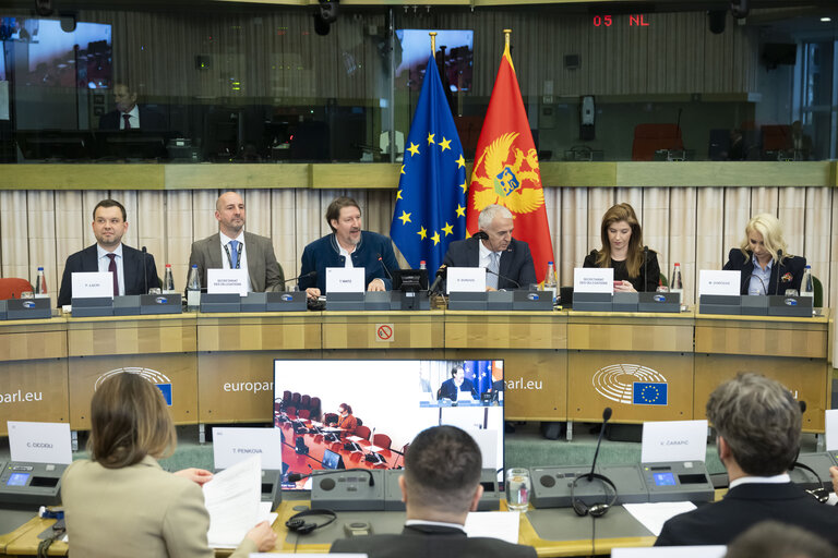 Sastanak POSP-a u Strazburu: Evropska unija podržava Crnu Goru