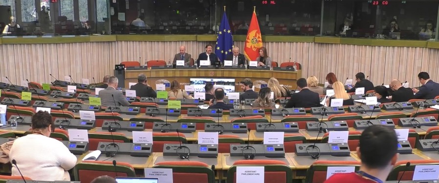 POSP: Podrška evropskom putu, uz ispunjavanje uslova