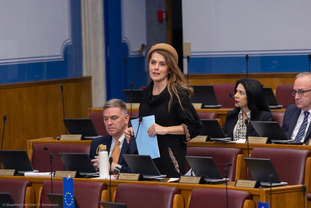 Vuković Kuč o utakmici: Crnogorski navijači se izvinili za Dubrovnik i stoički pretrpjeli odbijanje izvinjenja od malograđana i polusvijeta, skupine ljudi, male, ograničene