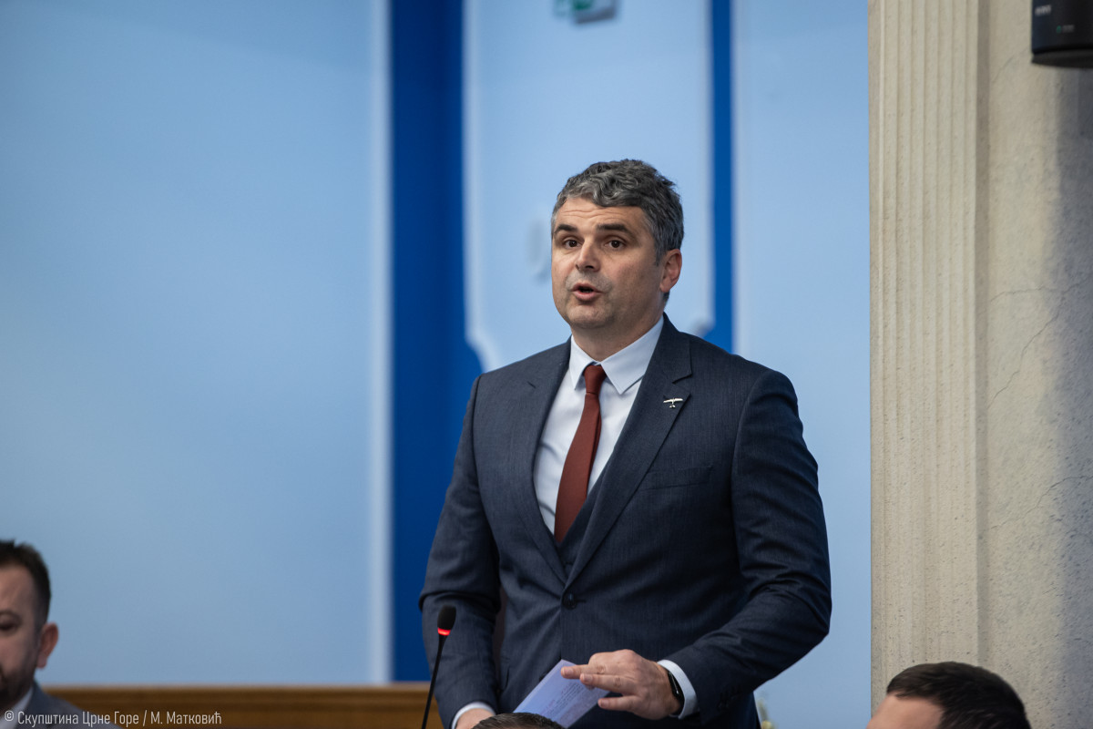 ilir čapuni capuni