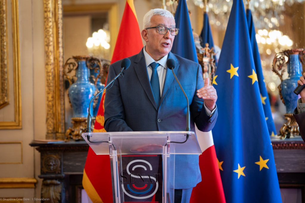 Đurović: Mandić i parlamentarna većina su lokomotiva Crne Gore ka EU, a ne njeni kočničari