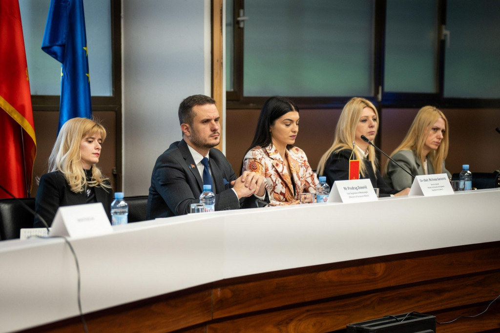 Zenović: Crna Gora u jedinstvenom tržištu EU vidi priliku za novu eru ekonomskog razvoja
