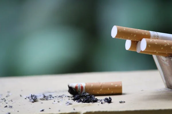 Fejzić: Spreman sam da budem svjedok i otkrijem sve o švercu cigareta pod zaštitom Mujevića