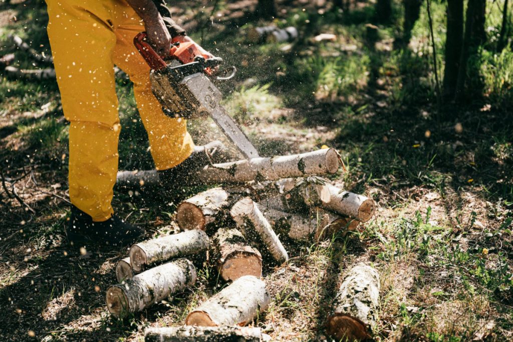Uništio materijal iz krivičnog djela koji mu je dat na čuvanje: Podnijeta krivična prijavu