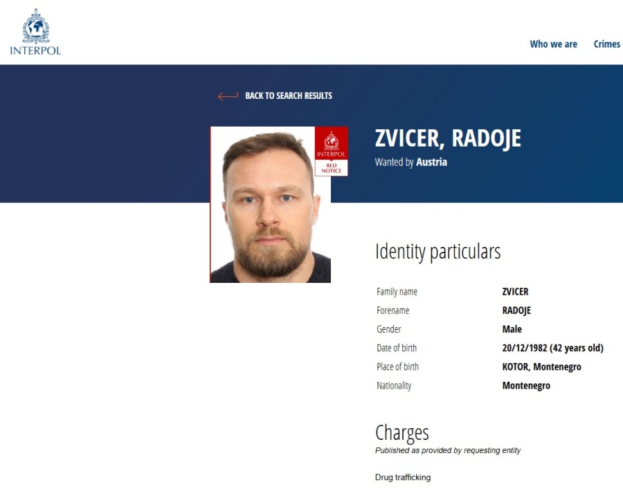 zvicer