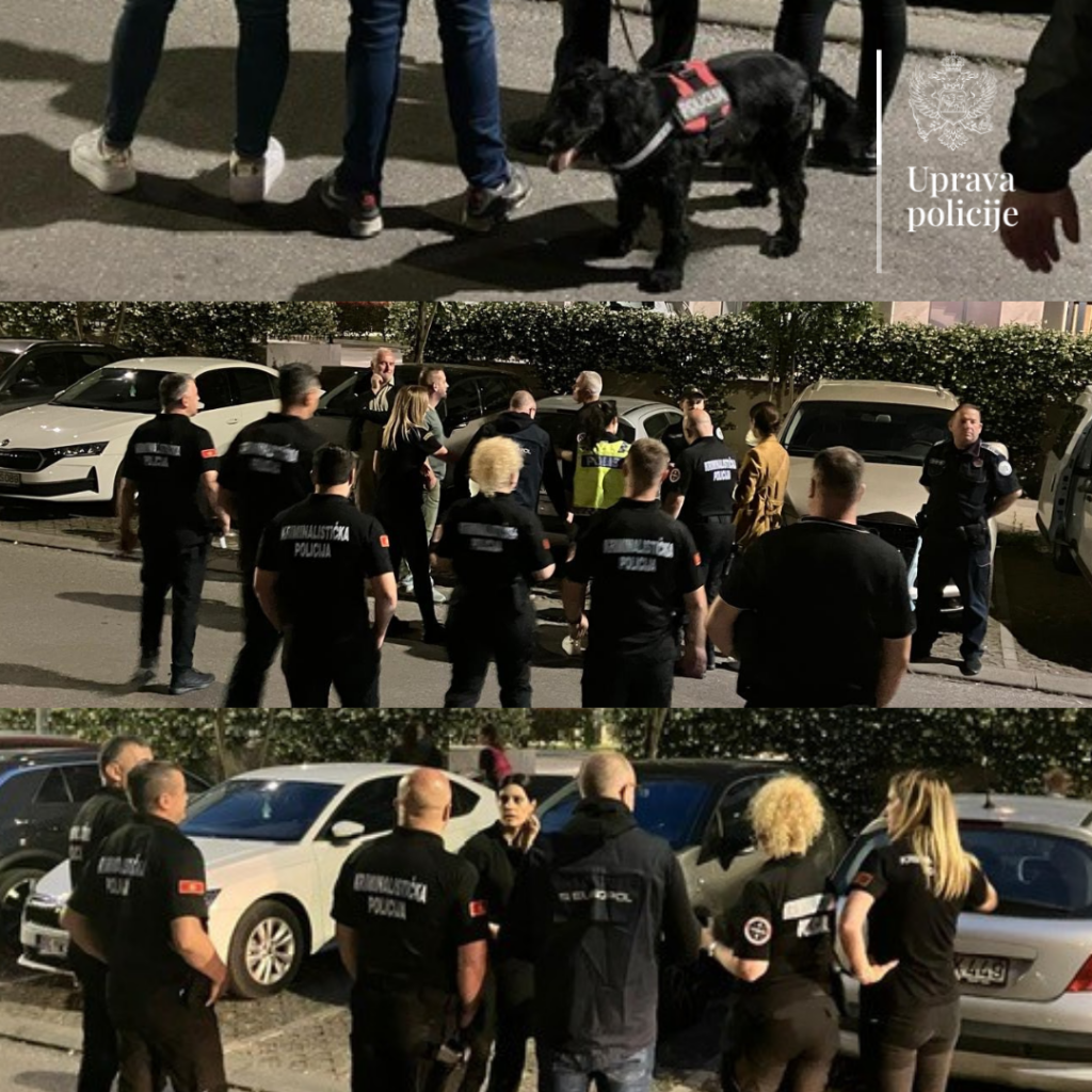 Crnogorska i švedska policija u zajedničkoj akciji “Wallet” zaplijenili novac, nakit i drogu