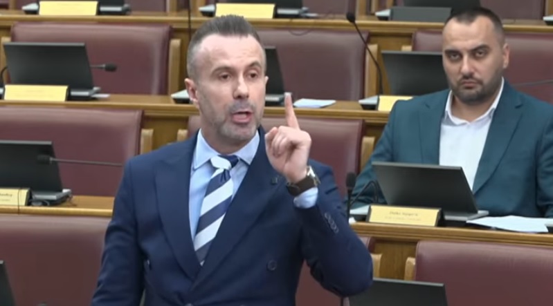 Bogdanović: Hapšenje Milovana Pavićevića potvrda značaja vetinga u policiji