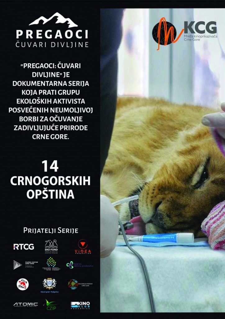Dokumentarni serijal „Pregaoci – Čuvari divljine“ stiže u 14 crnogorskih gradova: Borba za prirodu na velikom platnu