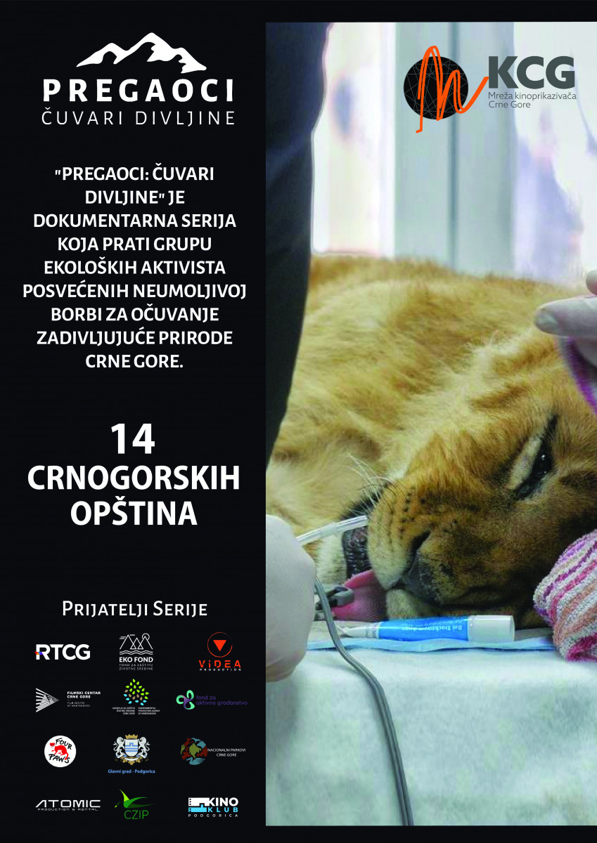 Pregaoci_objave_1080x1350px_14opstina_A3 Poster