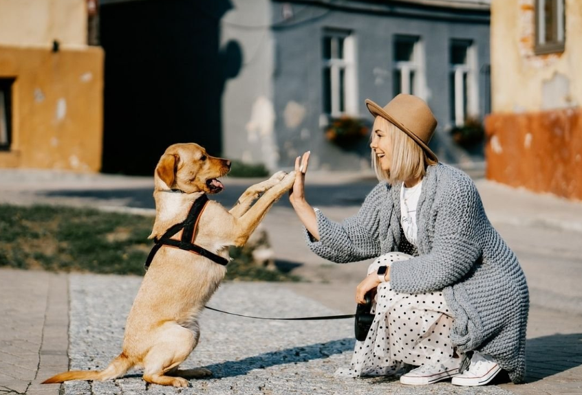 Dreser pasa upozorava na opasnu grešku koju vlasnici rade svakodnevno
