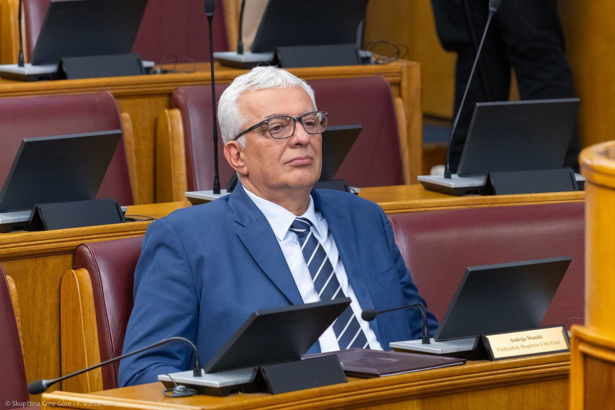 andrija mandic