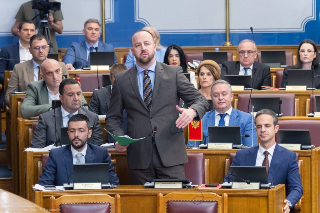 Nikolić: Neodgovorna i nezrela odluka Spajića, on nema nikakvu svijest o tome da upravlja državom
