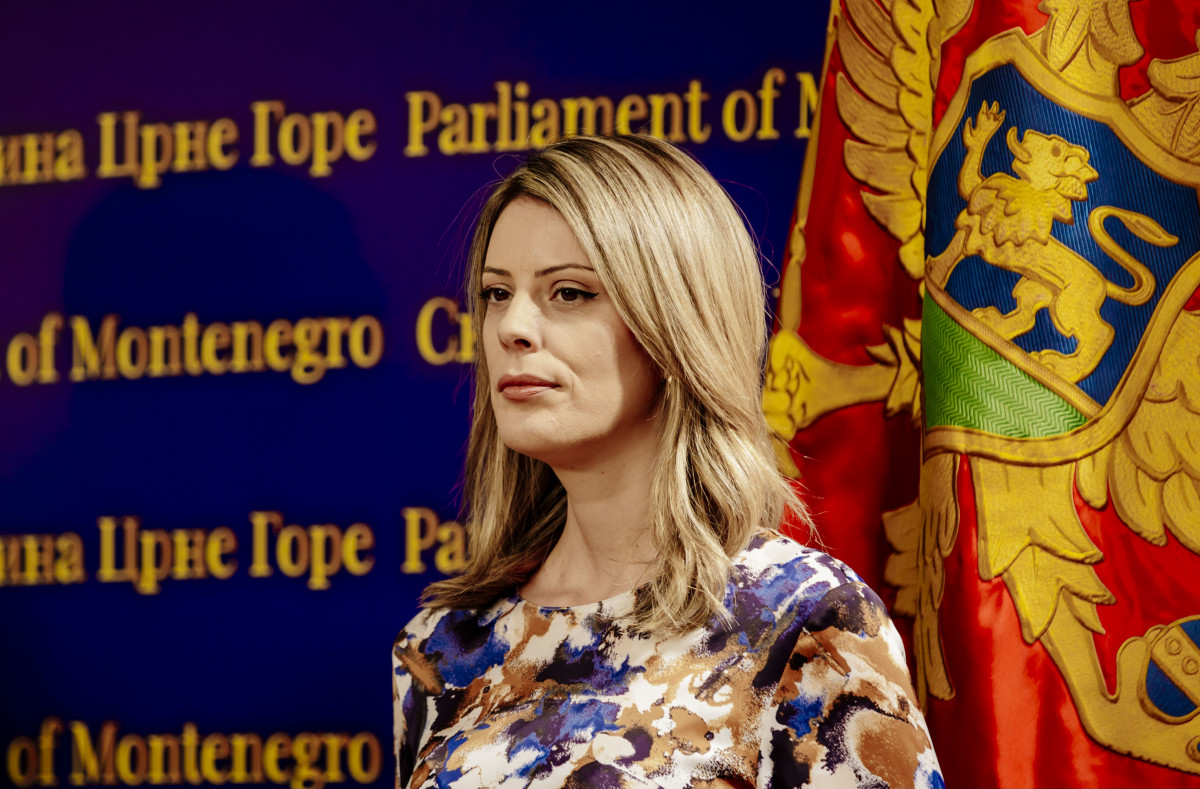 novaković đurović