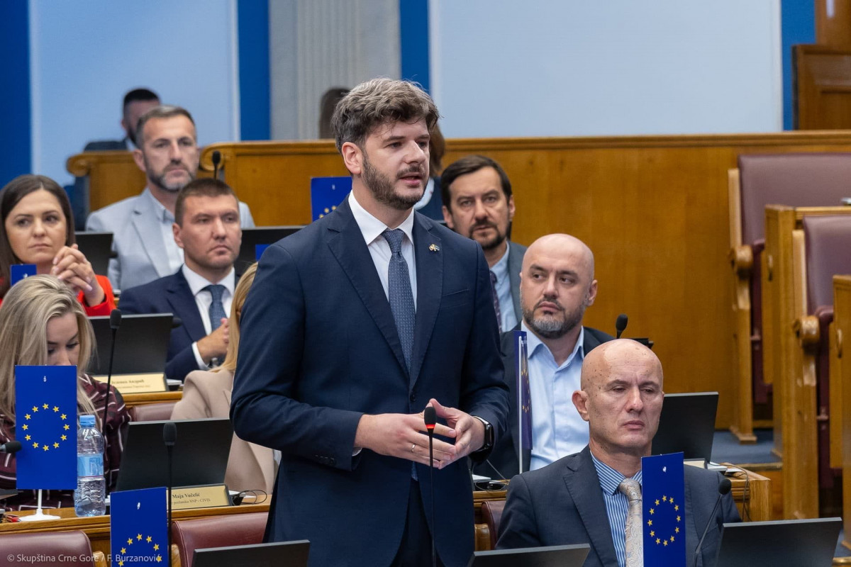 vasilije carapic
