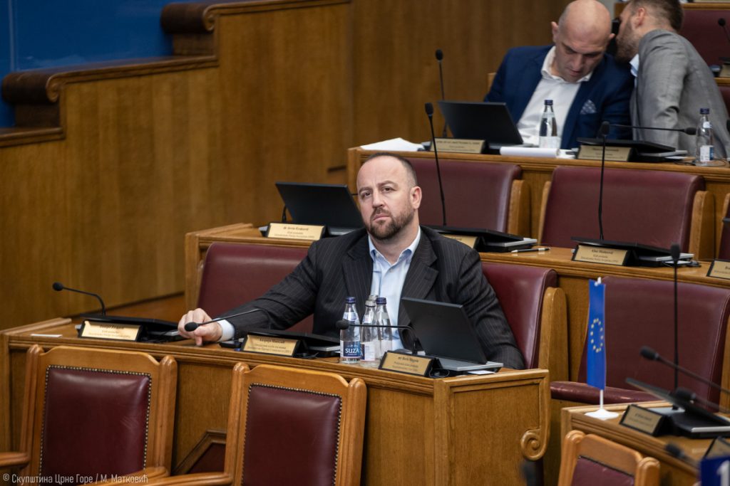 Nikolić: Ova parlamentarna većina ne može uvesti Crnu Goru u EU