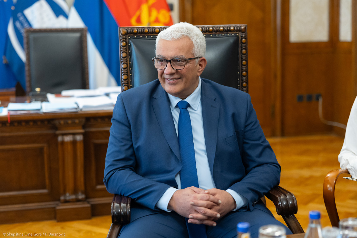 Andrija Mandic