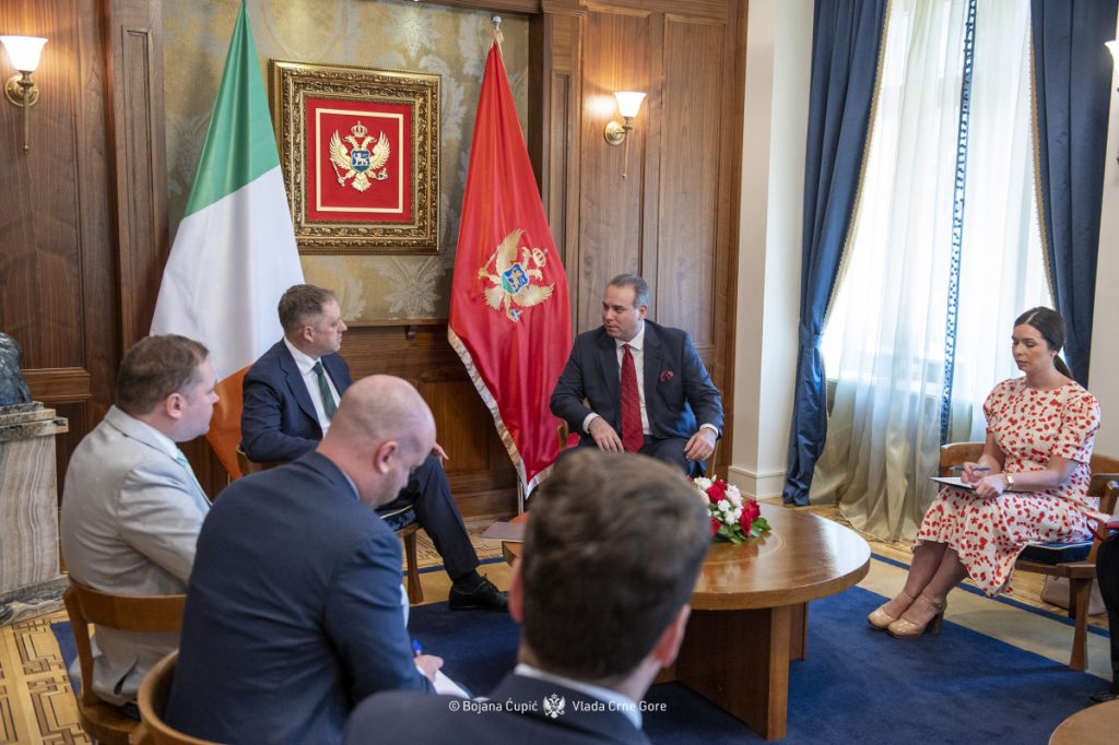 Ivanović sa Birn: Irska pouzdan partner Crne Gore i glas podrške na putu ka EU
