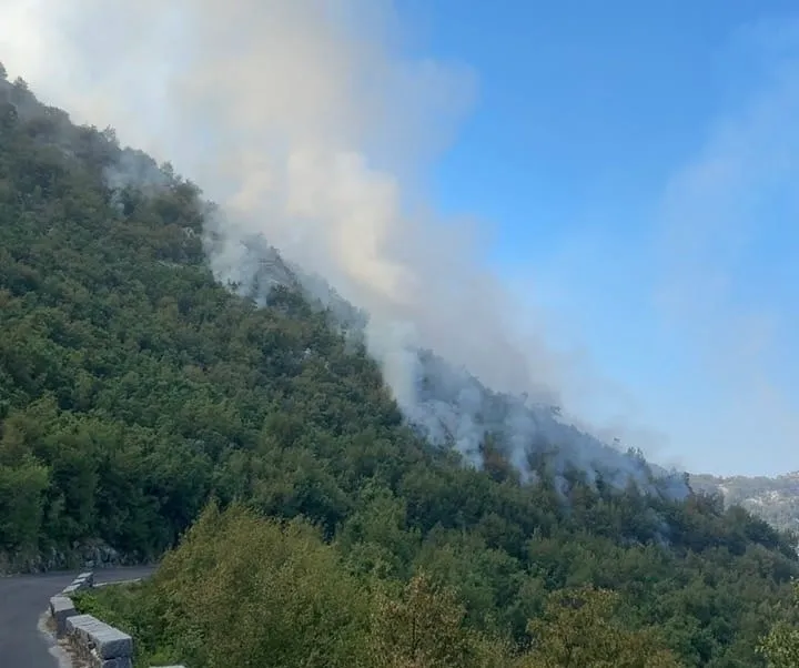 Požar na području Lovćena i dalje aktivan u pomoć stiže i helikopter