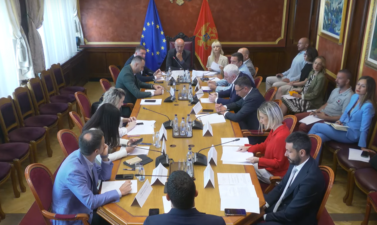 Screenshot 2025-07-07 at 11-31-33 ДАН – (VIDEO) Slučaj Danila Mandića pred Odborom za bezbjednost i odbranu Usvojen zahtjev opozicije za saslušanje Šćepanovića i Markovića