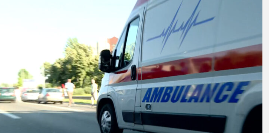 U Bačkoj Palanci psi usmrtili žensku osobu