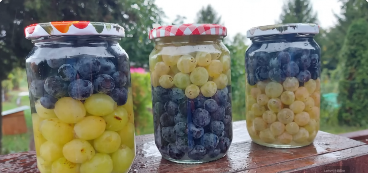 Screenshot 2025-07-29 at 17-39-25 (587) Recept za kojim su svi poludeli. Evo kako spakovati grožđe u tegle za zimu – YouTube