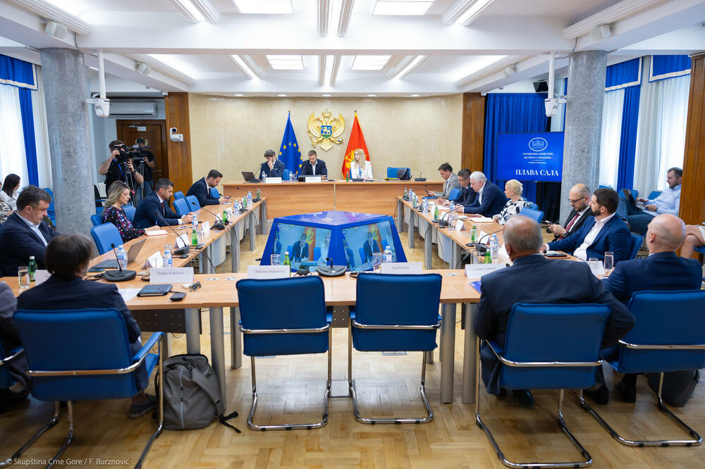 CDT predložio drastične sankcije za djela protiv izbornih prava: Kazna mora da zaboli!