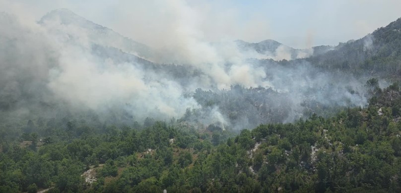Gori na Cetinju, gase vatru na lokaciji Borovik