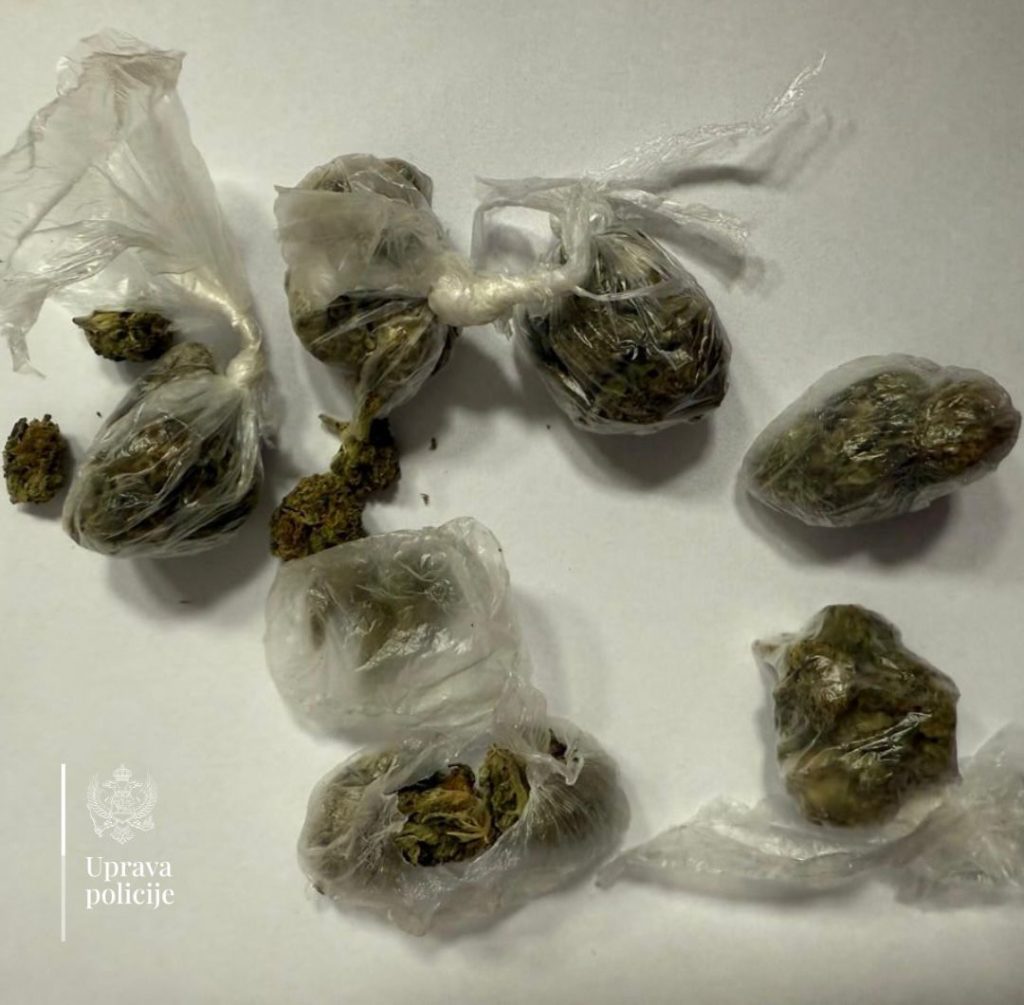 Kod mladića iz Podgorice pronađena marihuana namijenjena prodaji na žurci