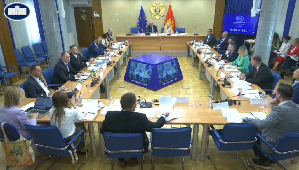 Raičević: Zakon o ANB-u korak naprijed, osnovna prava zaštićena