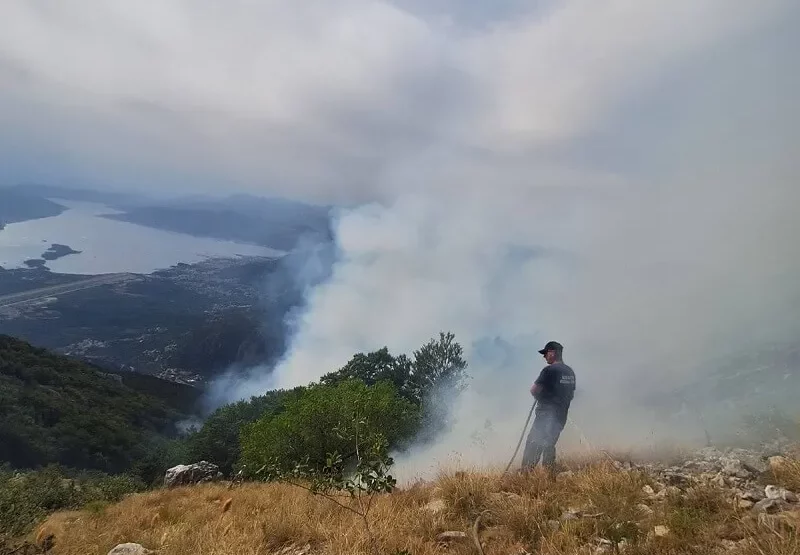 Na Cetinju aktivni požari, vatrogasci intervenišu na više lokacija