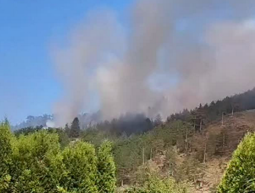 Veliki požar kod Priboja