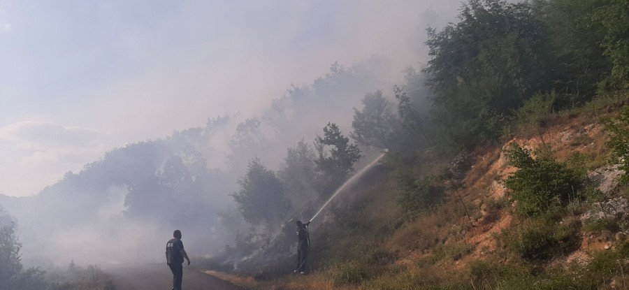 Požari u okolini Cetinja, polako se približavaju kućama: Ekipe su na terenu, mještani da budu pripravni