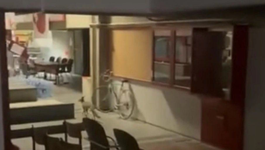Veliki dio profesora koji su podržavali blokade na Filozofskom fakultetu žele da se sve vrati u normalu