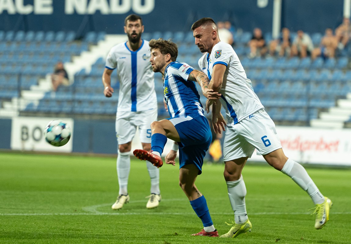 Miličković i Radoš Dedić