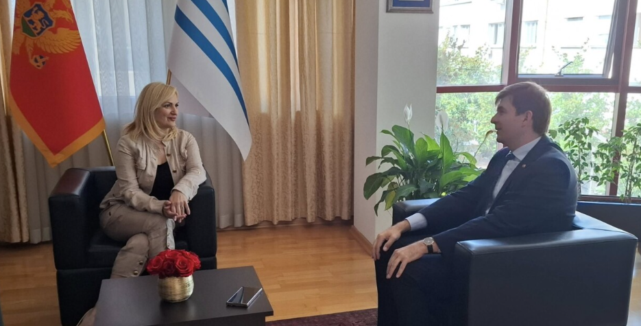 Azemović sa Borovinić Bojović: Digitalizacijom i institucionalnom saradnjom do jače veze sa dijasporom