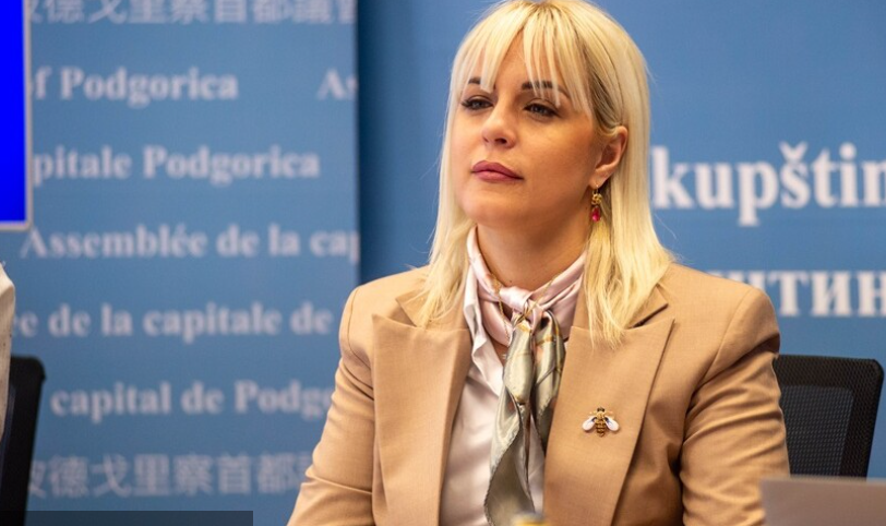 Ljiljanić: PUP se ne smije donositi po principu “paf, paf”