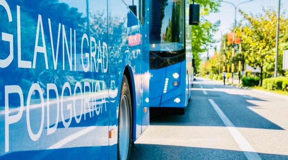 bus
