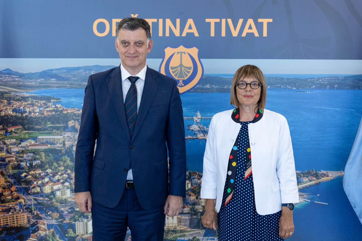 komnenović – gojković