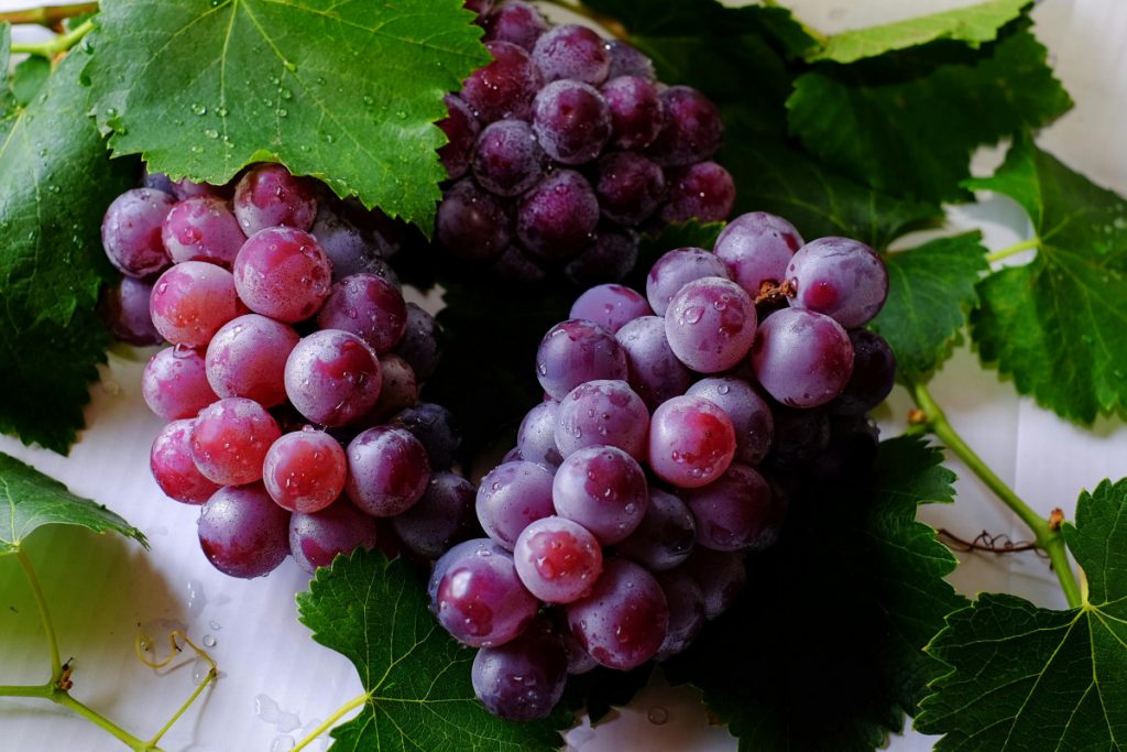 Grožđe je više od slatkog zalogaja – puno zdravstvenih koristi u svakom zrnu